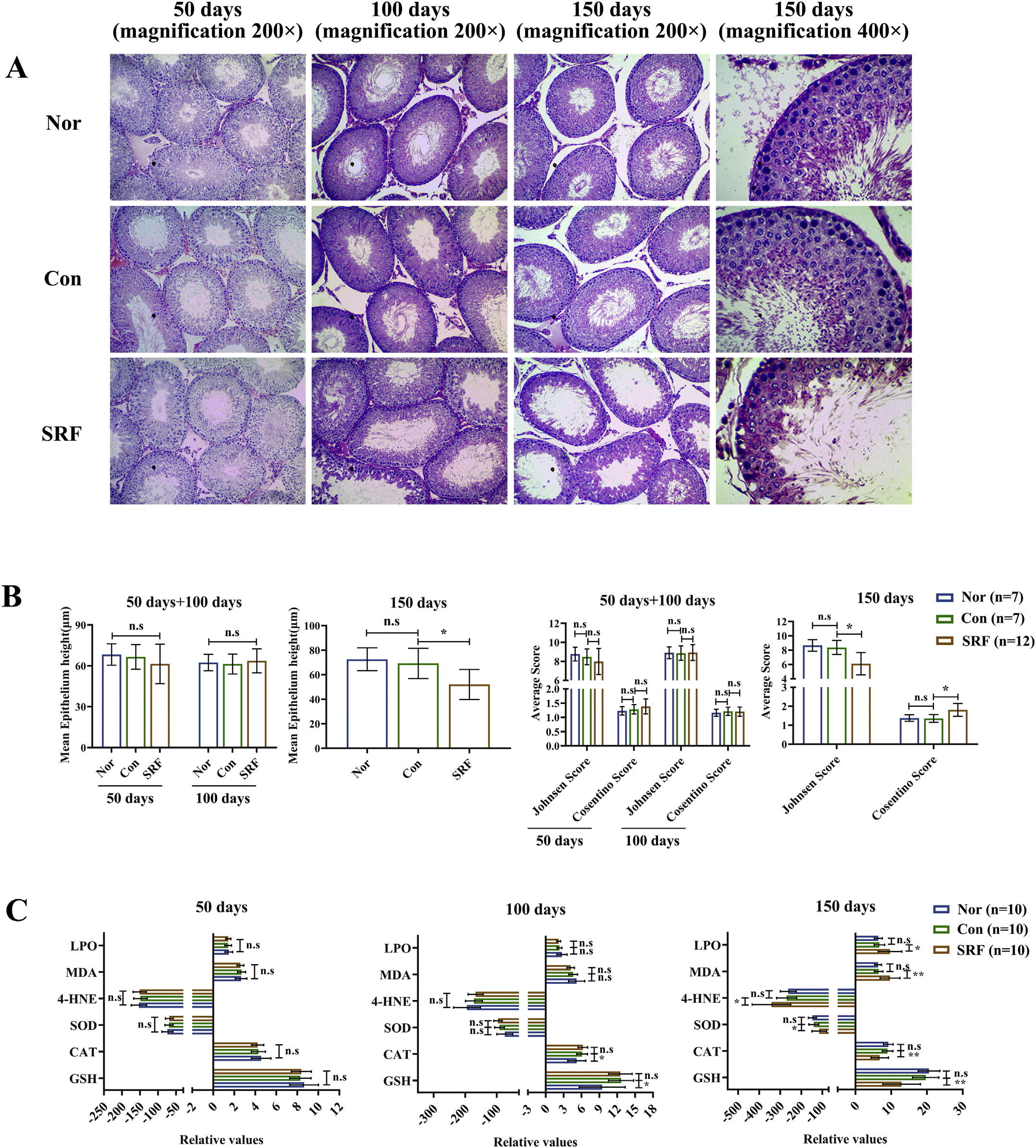 sperm damage and male infertilitiy